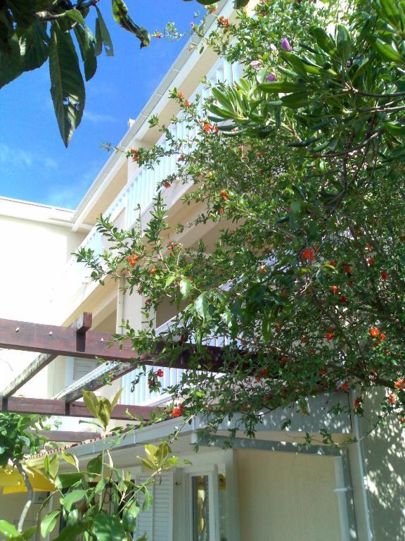 Villa Tenzera Herceg Novi Extérieur photo